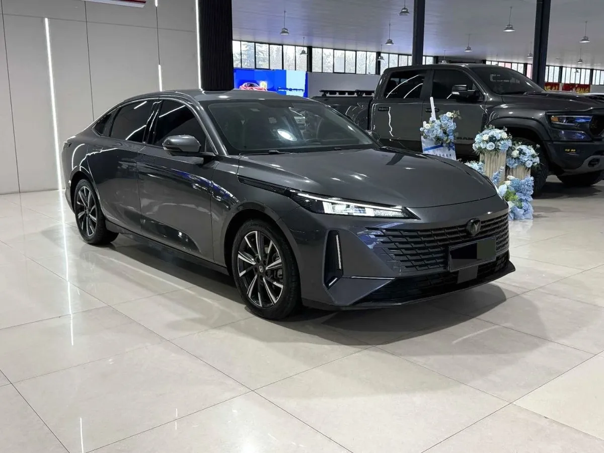 CHANGAN YIDAO BLUE WHALE NE 2023