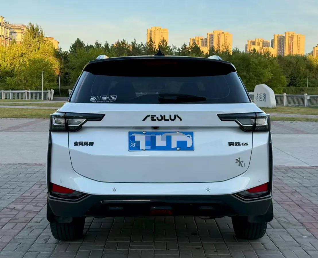DONGFENG AEOLUS 2023
