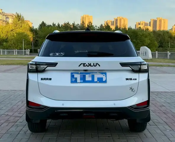 DONGFENG AEOLUS 2023