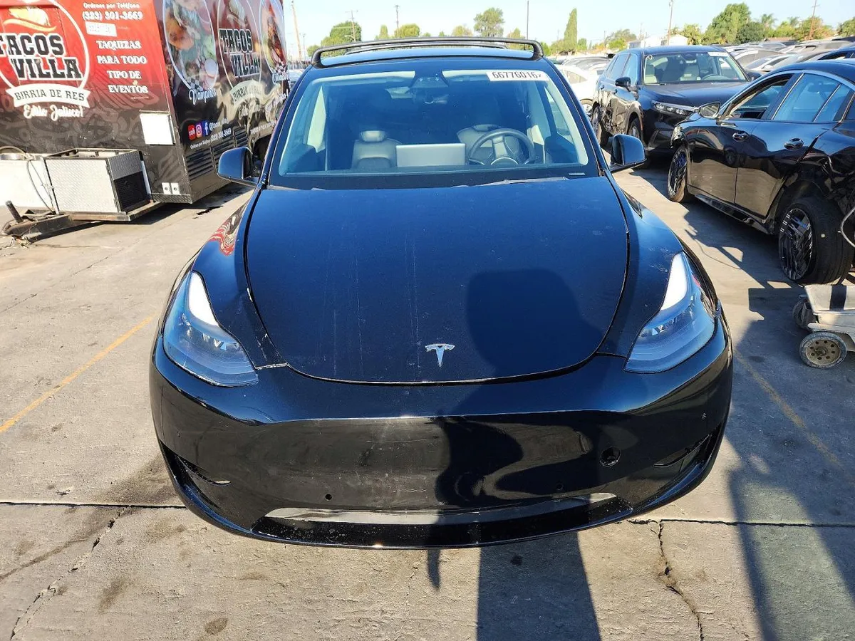 TESLA MODEL Y 2021