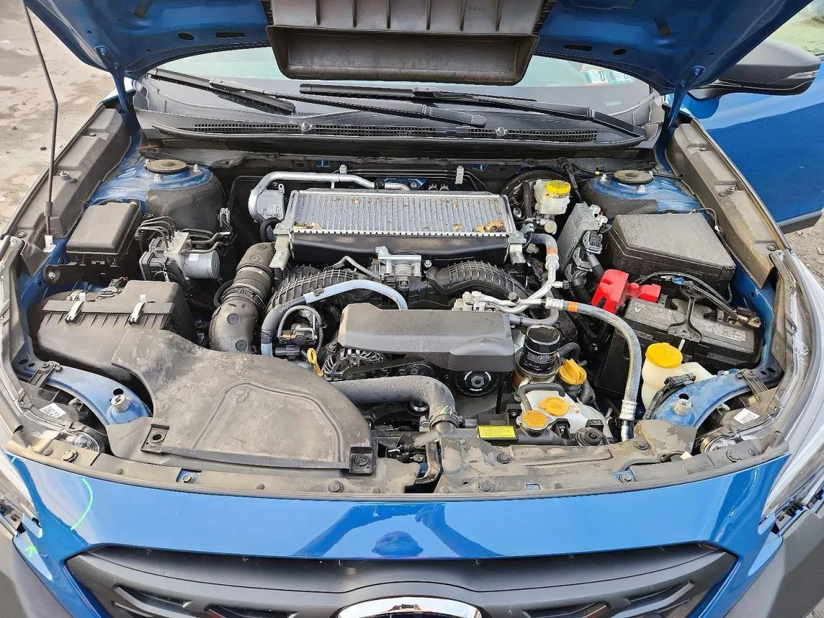 SUBARU OUTBACK WILDERNESS C 2022