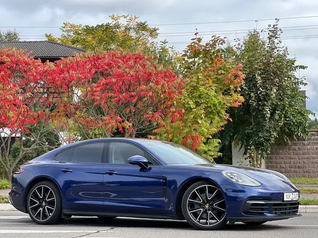PORSCHE PANAMERA 971 2020