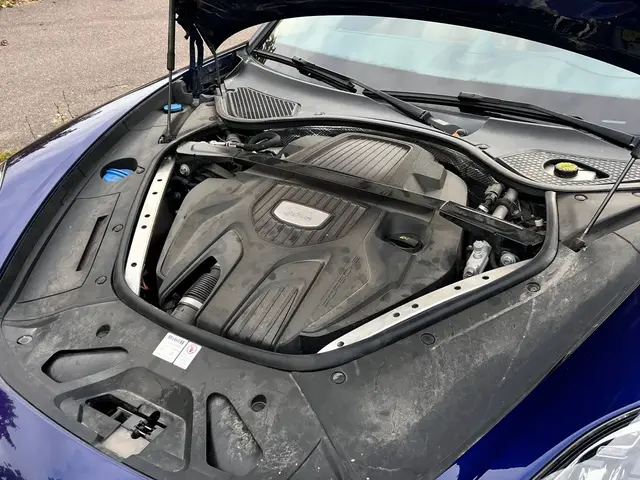 PORSCHE PANAMERA 971 2020