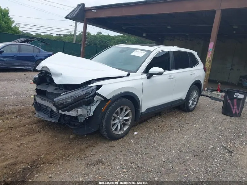 FORD ESCAPE ST-LINE 2023