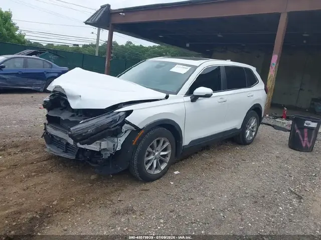 FORD ESCAPE ST-LINE 2023