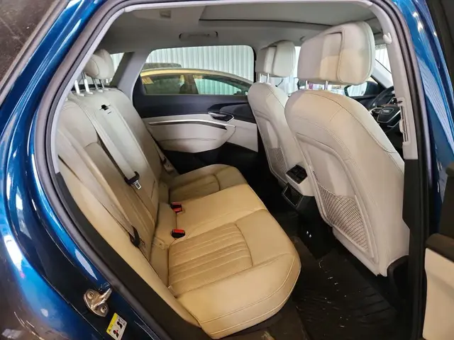 AUDI E-TRON PREMIUM PLUS 2019