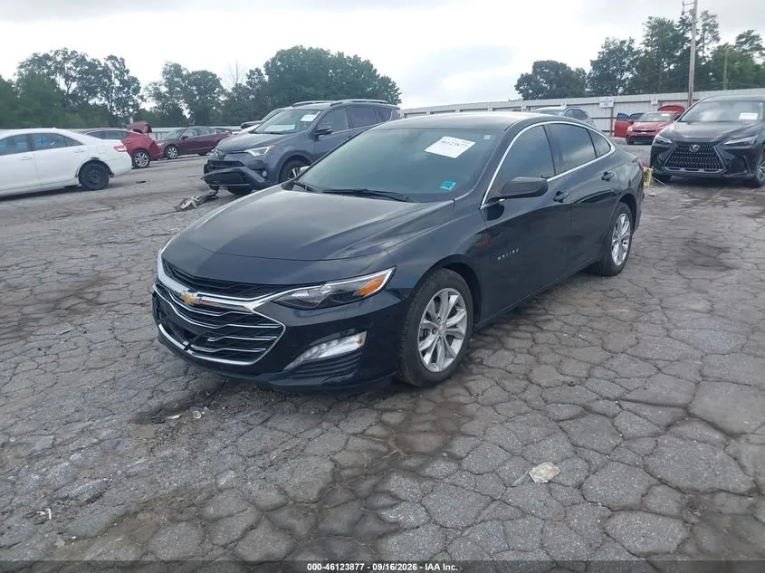 CHEVROLET MALIBU 2019