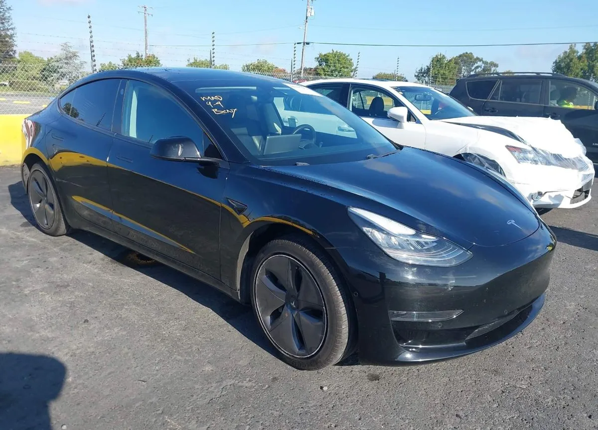 TESLA MODEL 3 2019