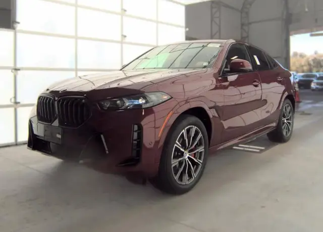 BMW X6 SPORTS ACTIVITY COUPE 2024