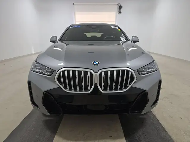 BMW X6 SPORTS ACTIVITY COUPE 2024