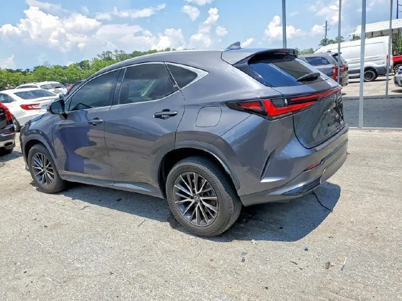 LEXUS NX 2023