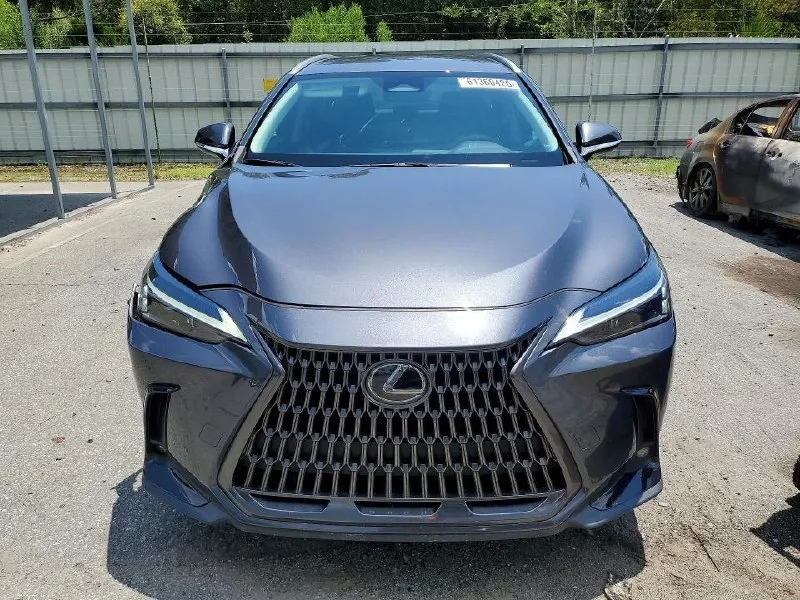 LEXUS NX 2023