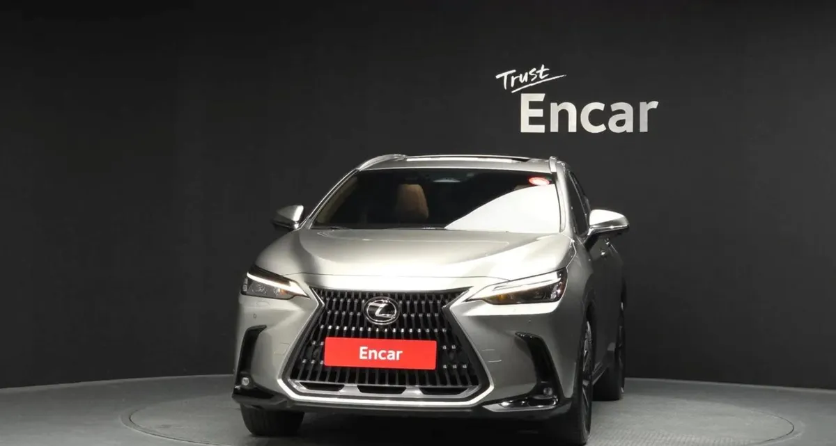 LEXUS NX PREMIUM 2023