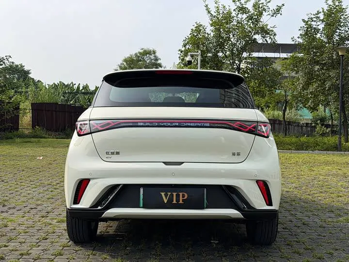 BYD DOLPHIN 2025