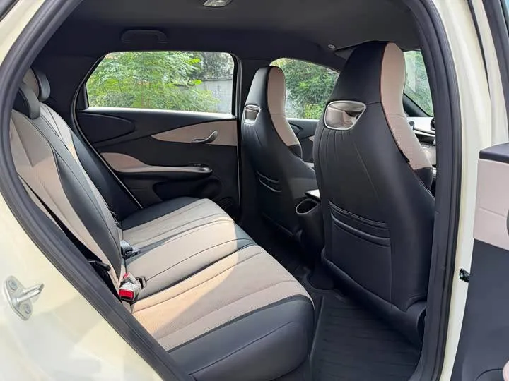 BYD DOLPHIN 2025