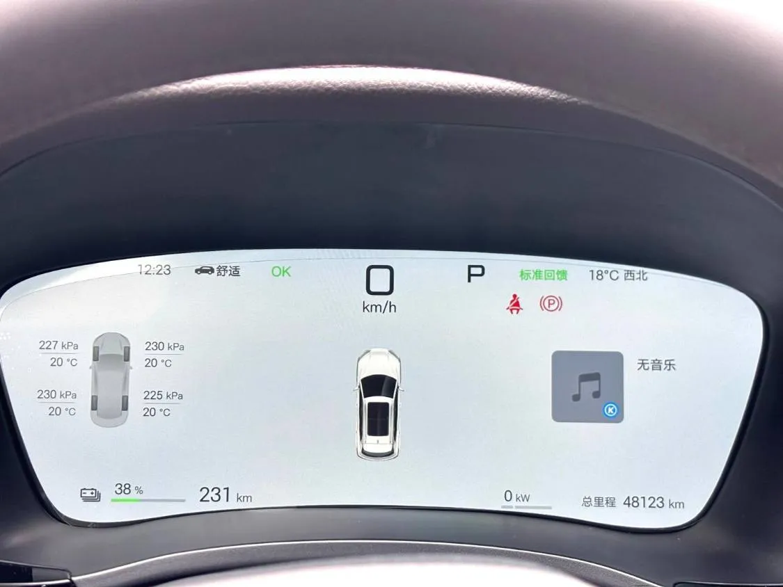 BYD SONG PLUS EV 2025