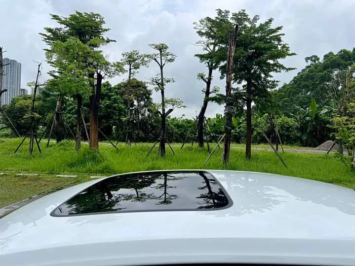 VOLKSWAGEN LAVIDA 2023