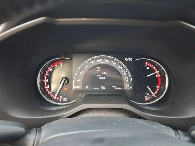 TOYOTA RAV4 RONGFANG 2022