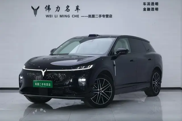 VOYAH ZHIYIN 2025