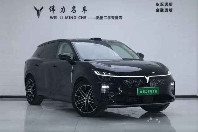 VOYAH ZHIYIN 2025