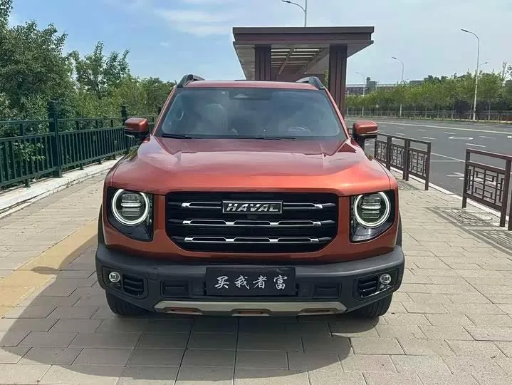 HAVAL BIG DOG 2021