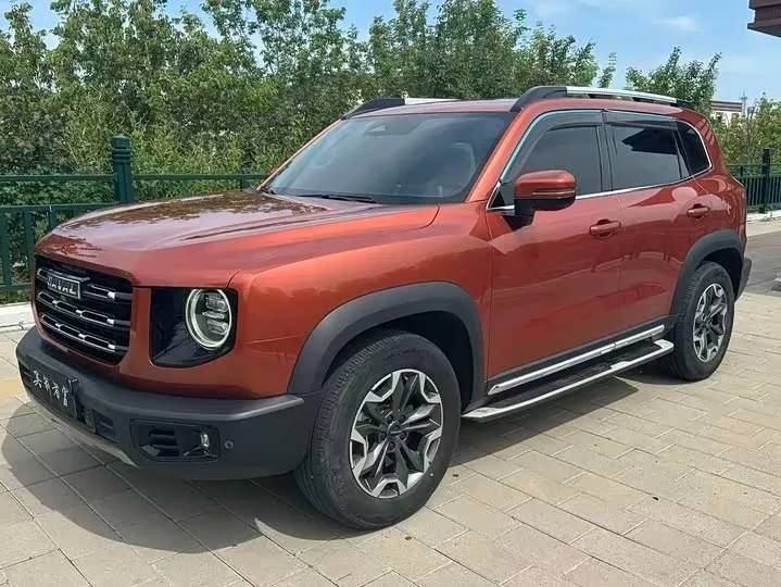 HAVAL BIG DOG 2021