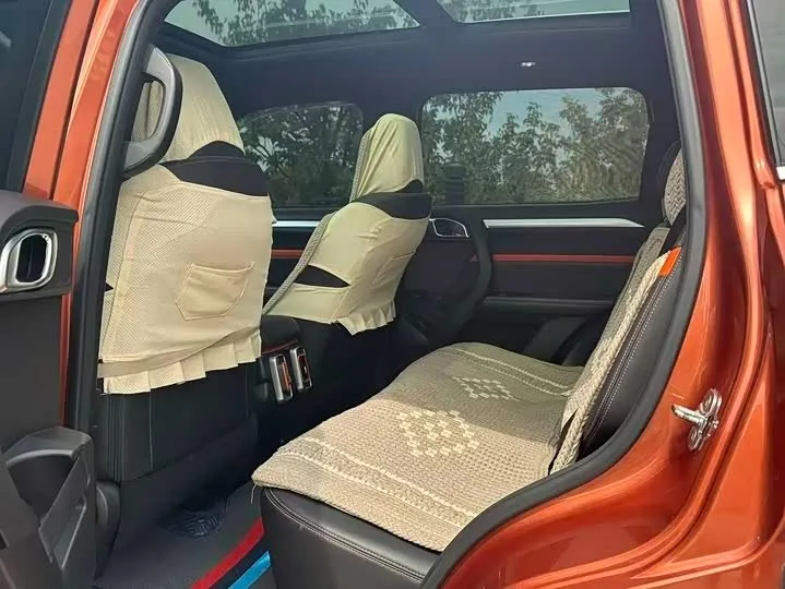HAVAL BIG DOG 2021