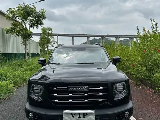 HAVAL BIG DOG 2022