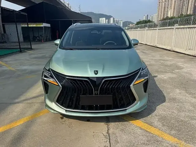 DONGFENG FORTHING YACHT 2022