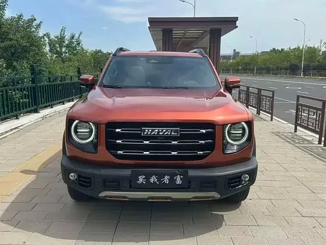 HAVAL BIG DOG 2021