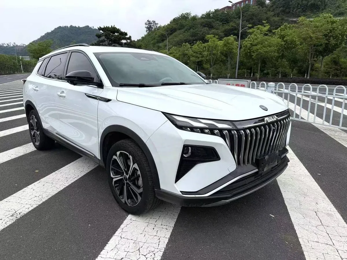 DONGFENG HAOHAN 2022