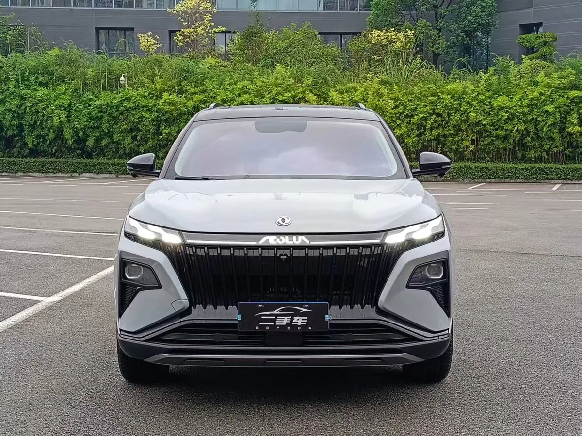 DONGFENG HAOHAN 2022