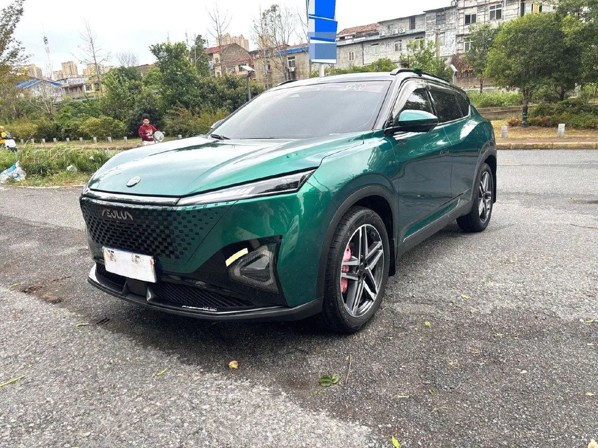 DONGFENG FENGSHEN 2023