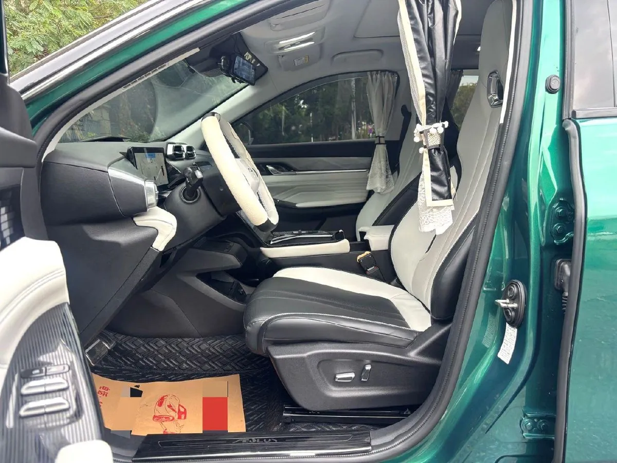 DONGFENG FENGSHEN 2023