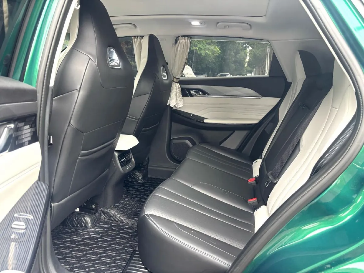 DONGFENG FENGSHEN 2023