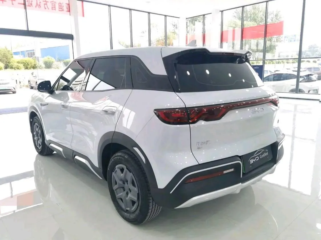 BYD YUAN UP 2024