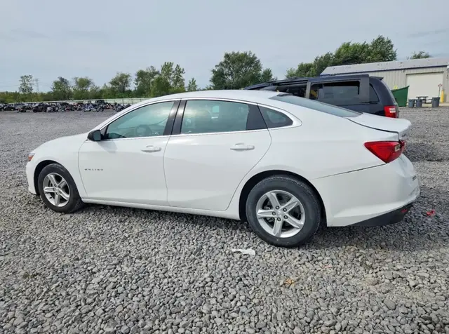 CHEVROLET MALIBU LS 2023